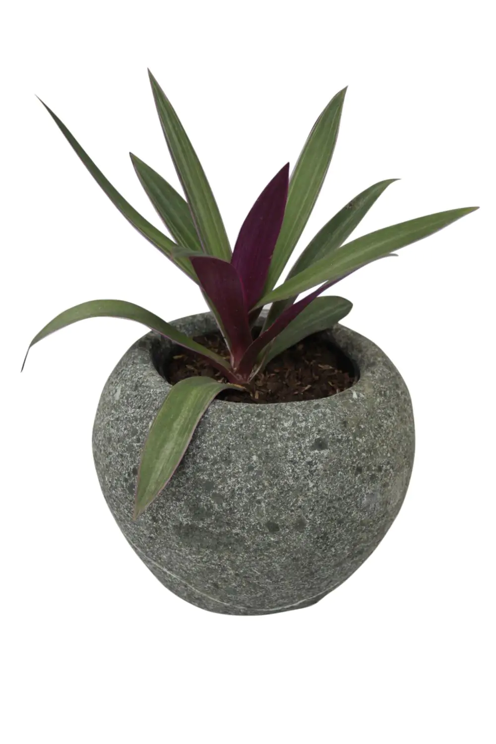 Product image 2 of the product “Round vessel, basanite ”